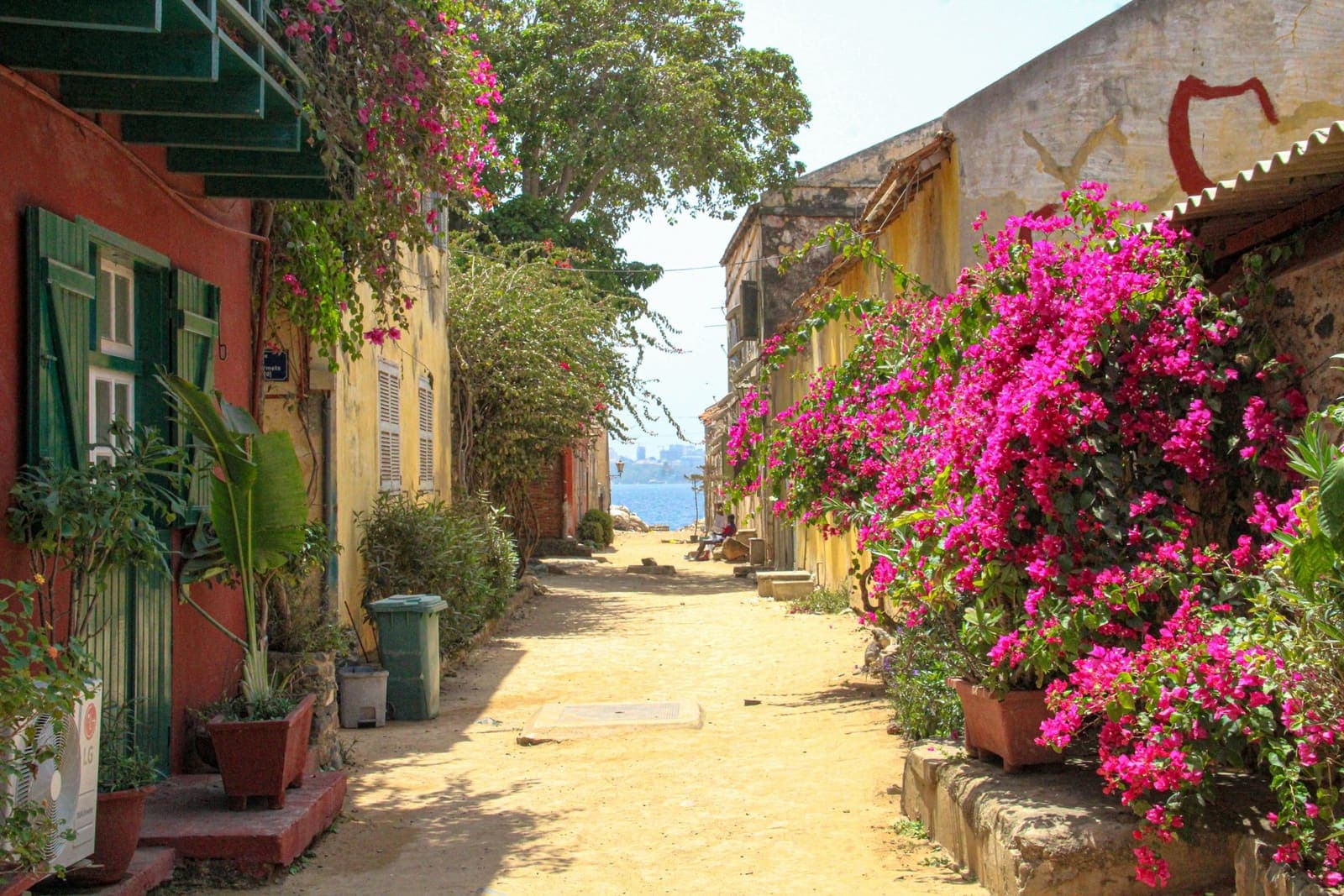 Une rue fleurie bordée de maisons colorées.